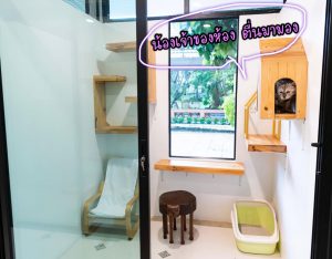 ห้องเพนท์เฮ้าส์โรงแรมแมวพรีเมียร์ Penthouse room 1 Premier Cat hotel